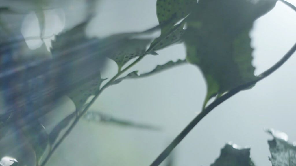 Kering sustainability goals
