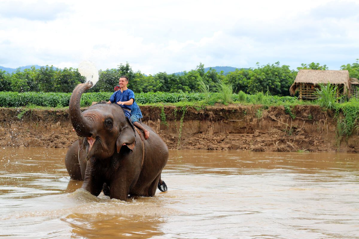 Four Seasons elephant camp golden triangle 