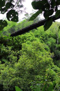 Four Seasons Tented Camp 