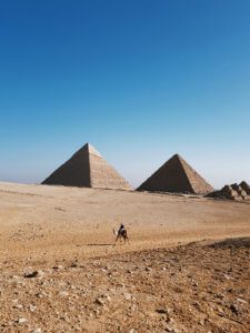A camel crosses in front of the pyramids in Egypt