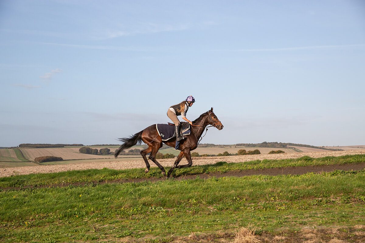 a horse racing on grass gallops 