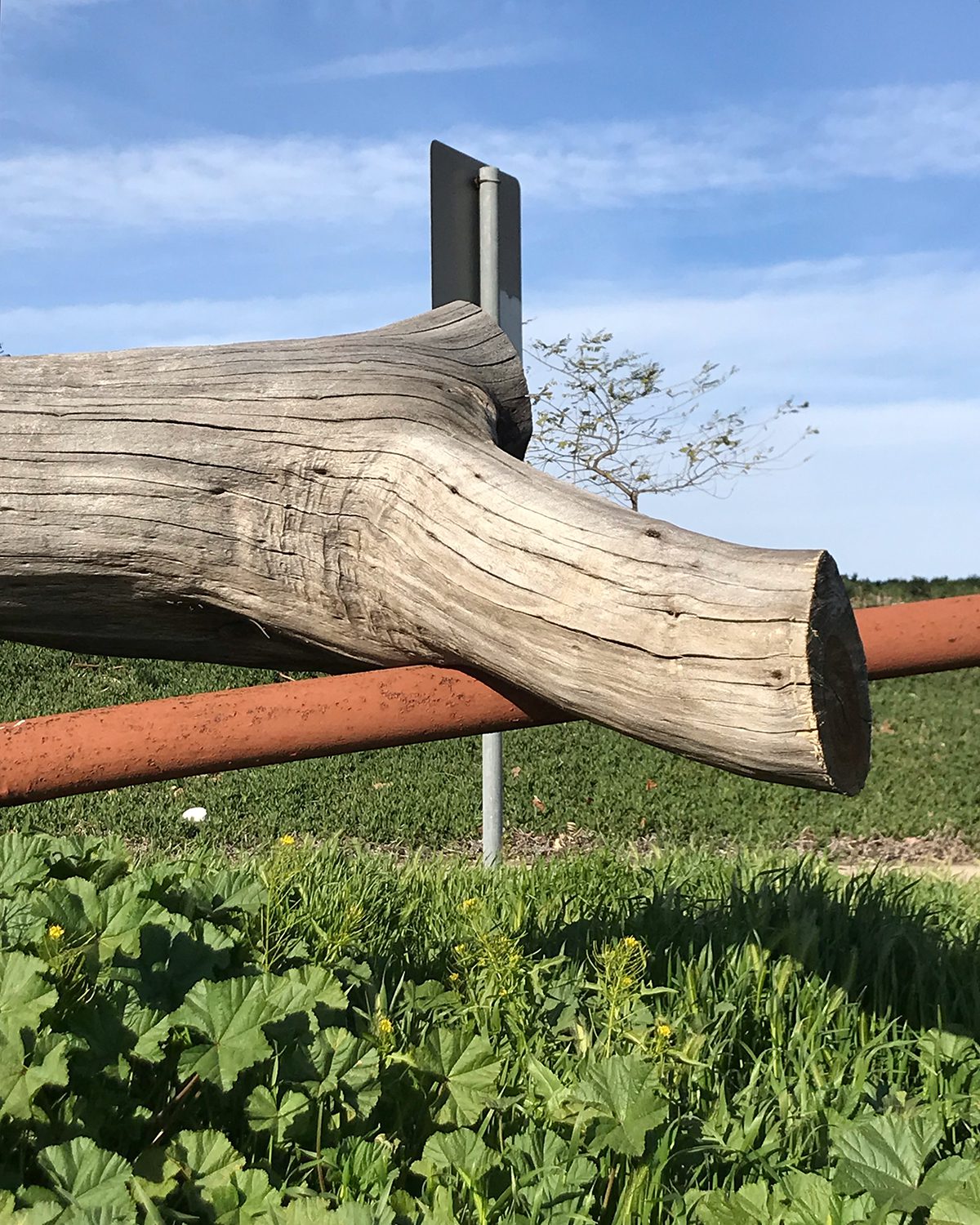 Image of a tree trunk lying on a metal rail