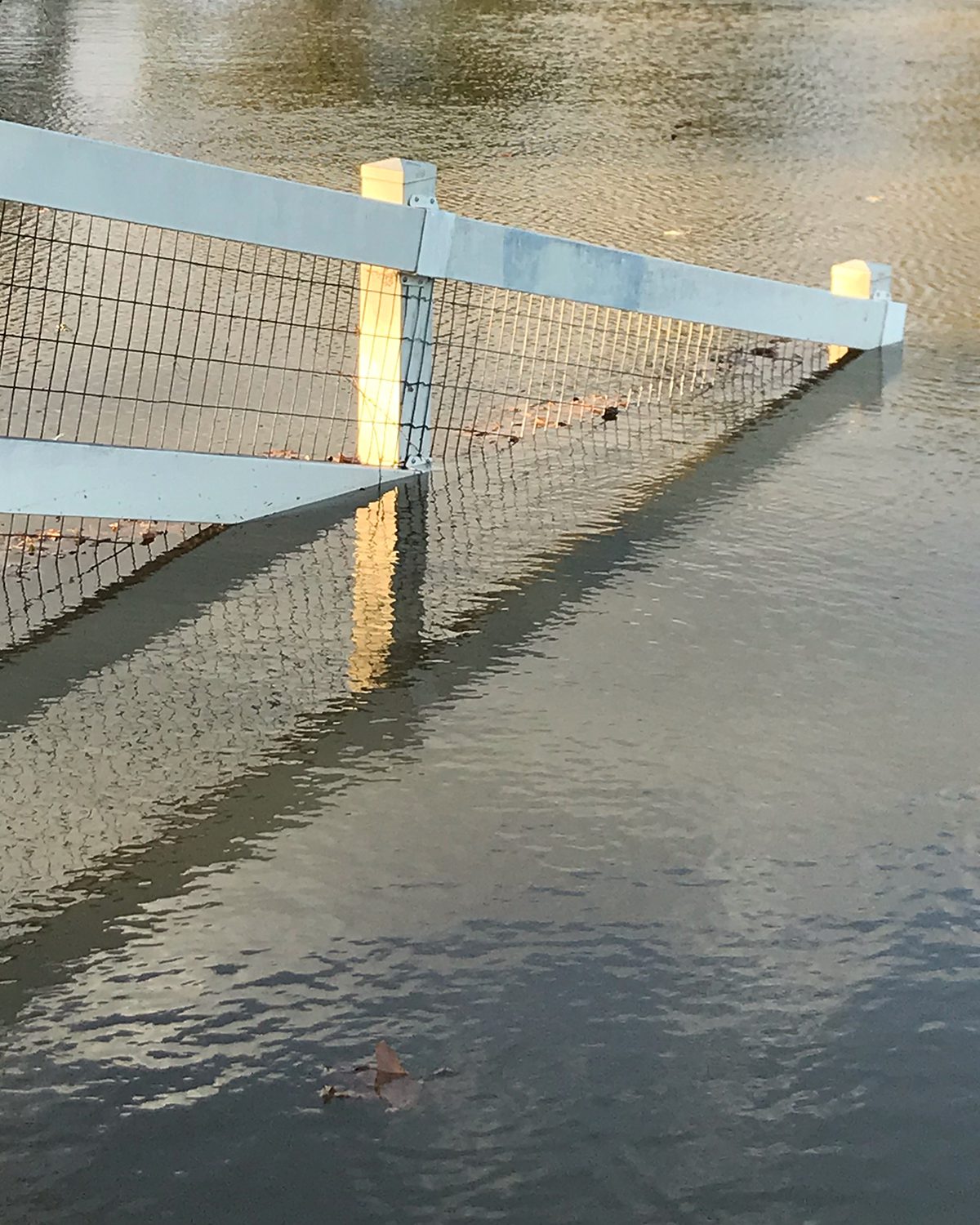 Surreal photograph of a fence half consumed by water