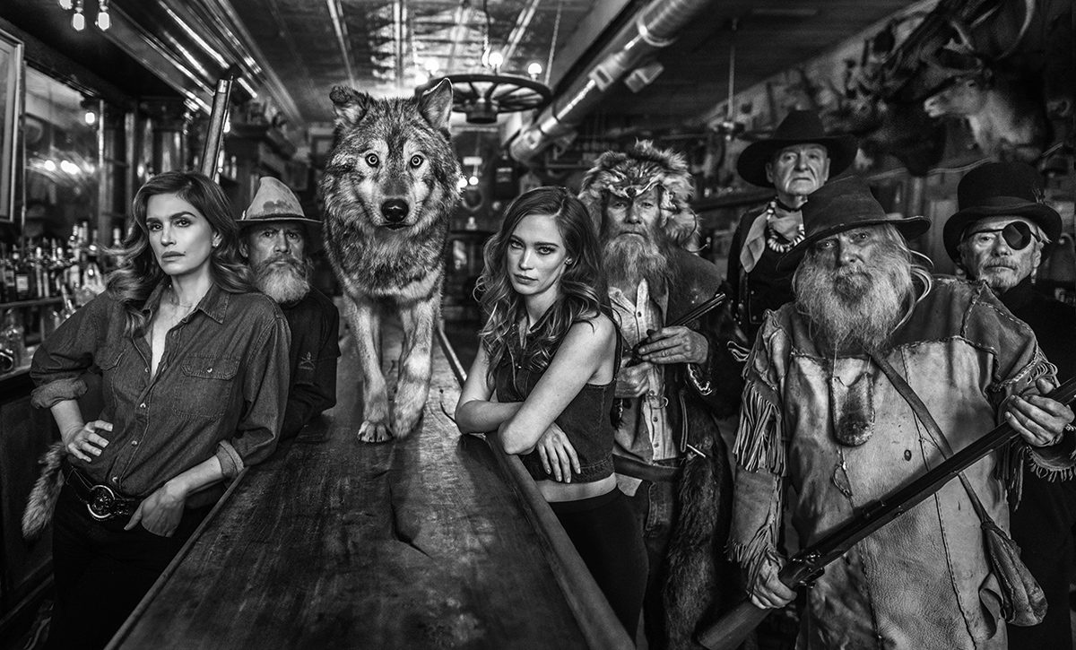 Image of people in a bar with a wolf on the bar counter