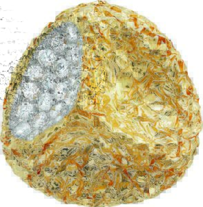 vintage jewelled brooch