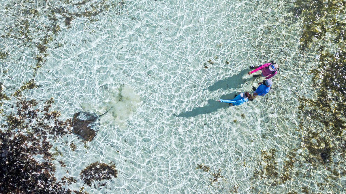 Ocean safari
