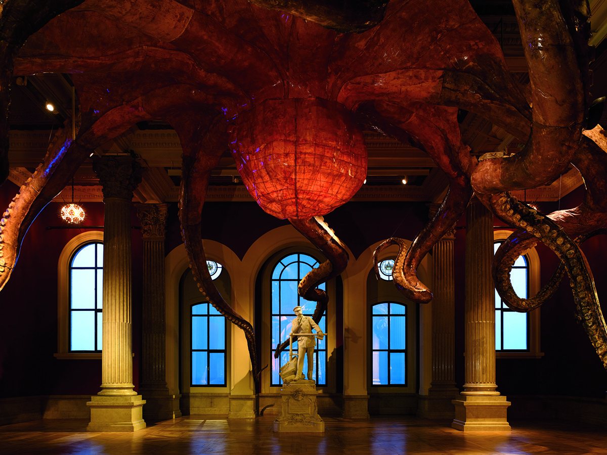 installation of octopus on roof