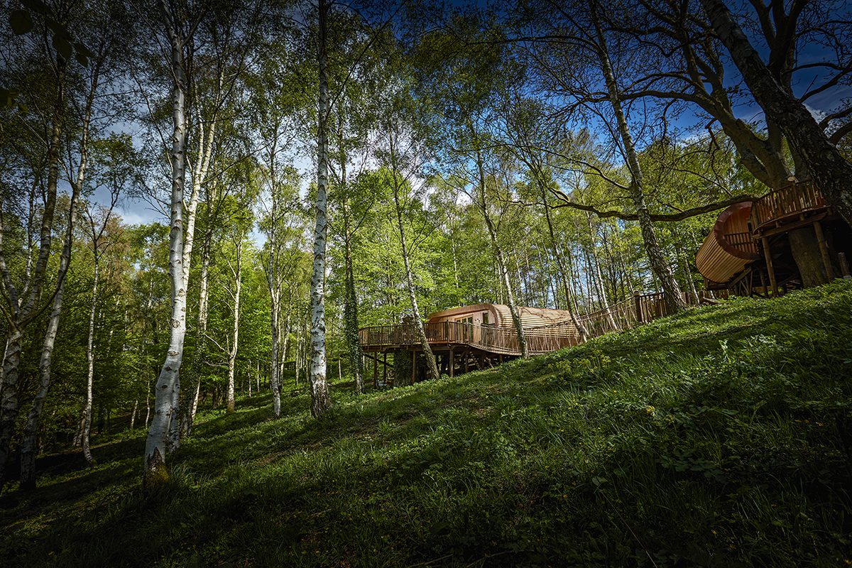 luxury treehouse