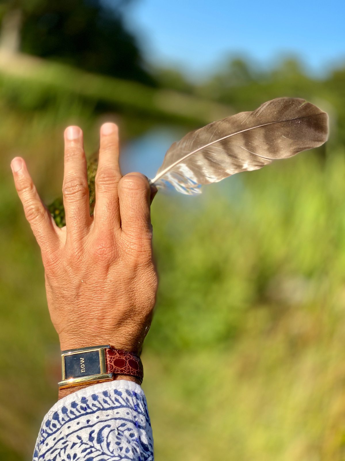 hand holding feather