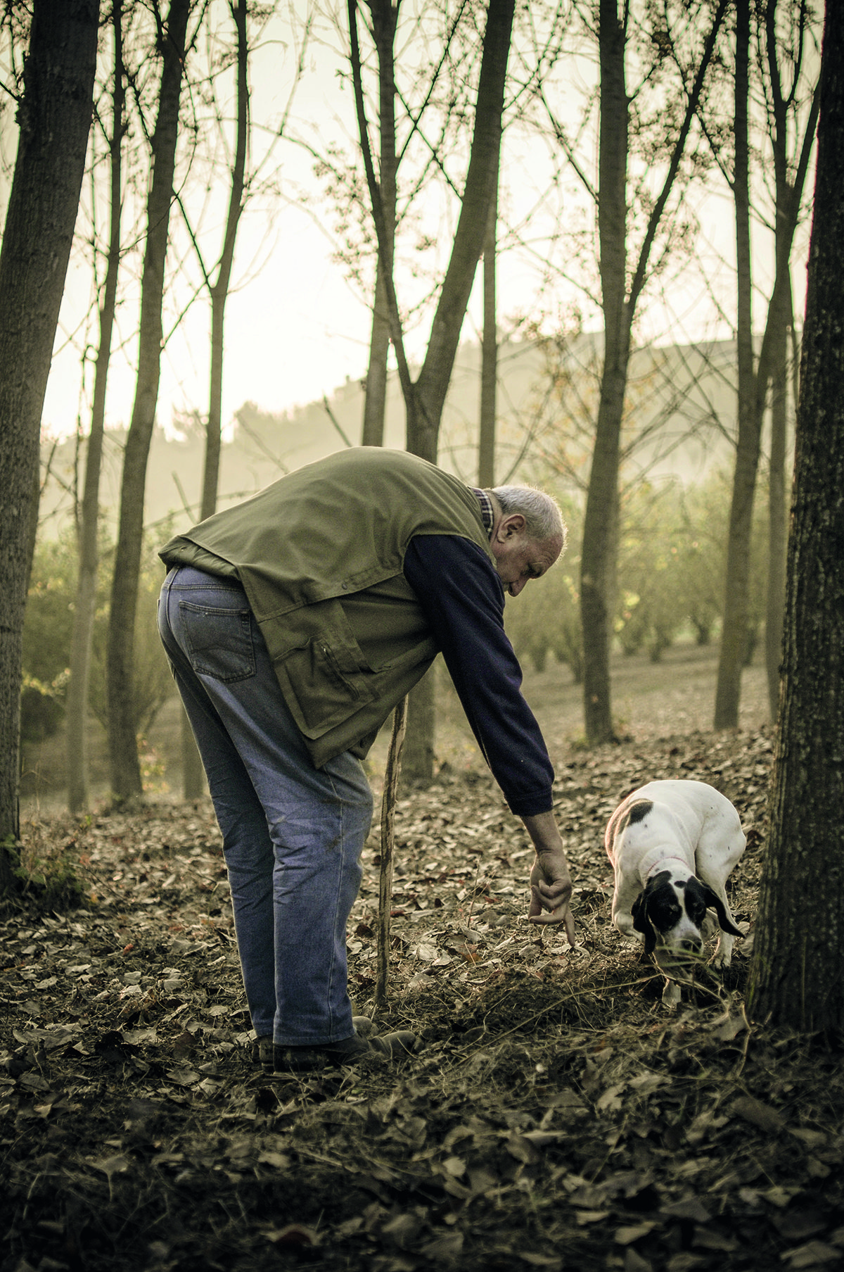 man truffle hunting