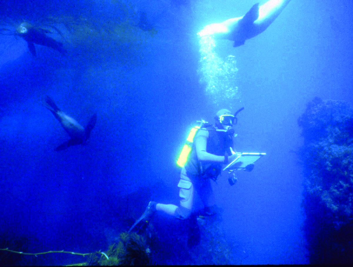 diver