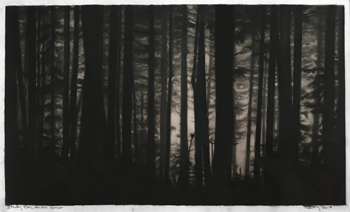 artwork of forest
