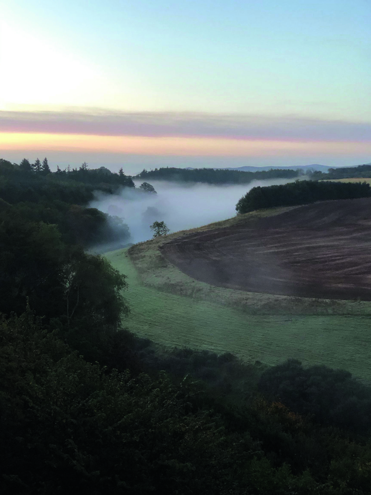 potato farm with mist over the hills