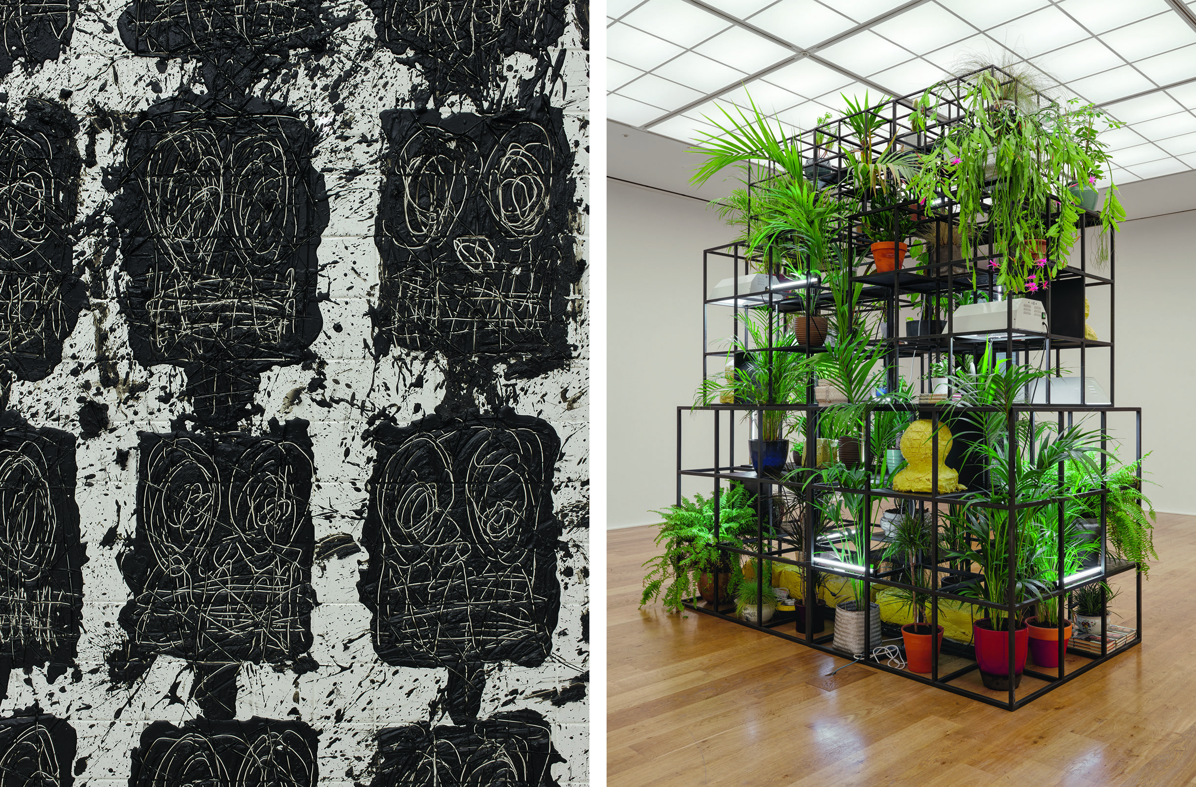 paintings and installation