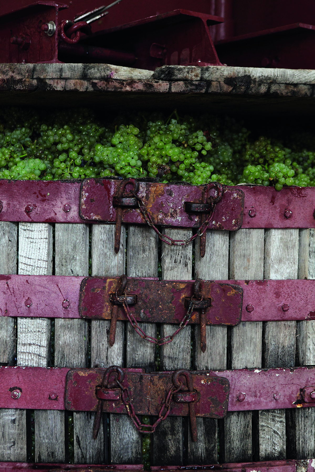 grapes in a barrel