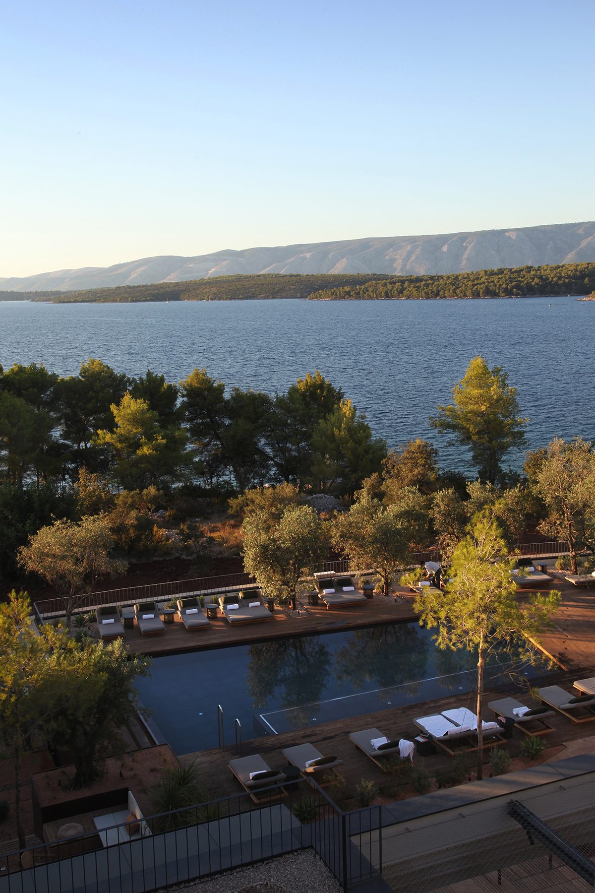 swimming pool amidst trees