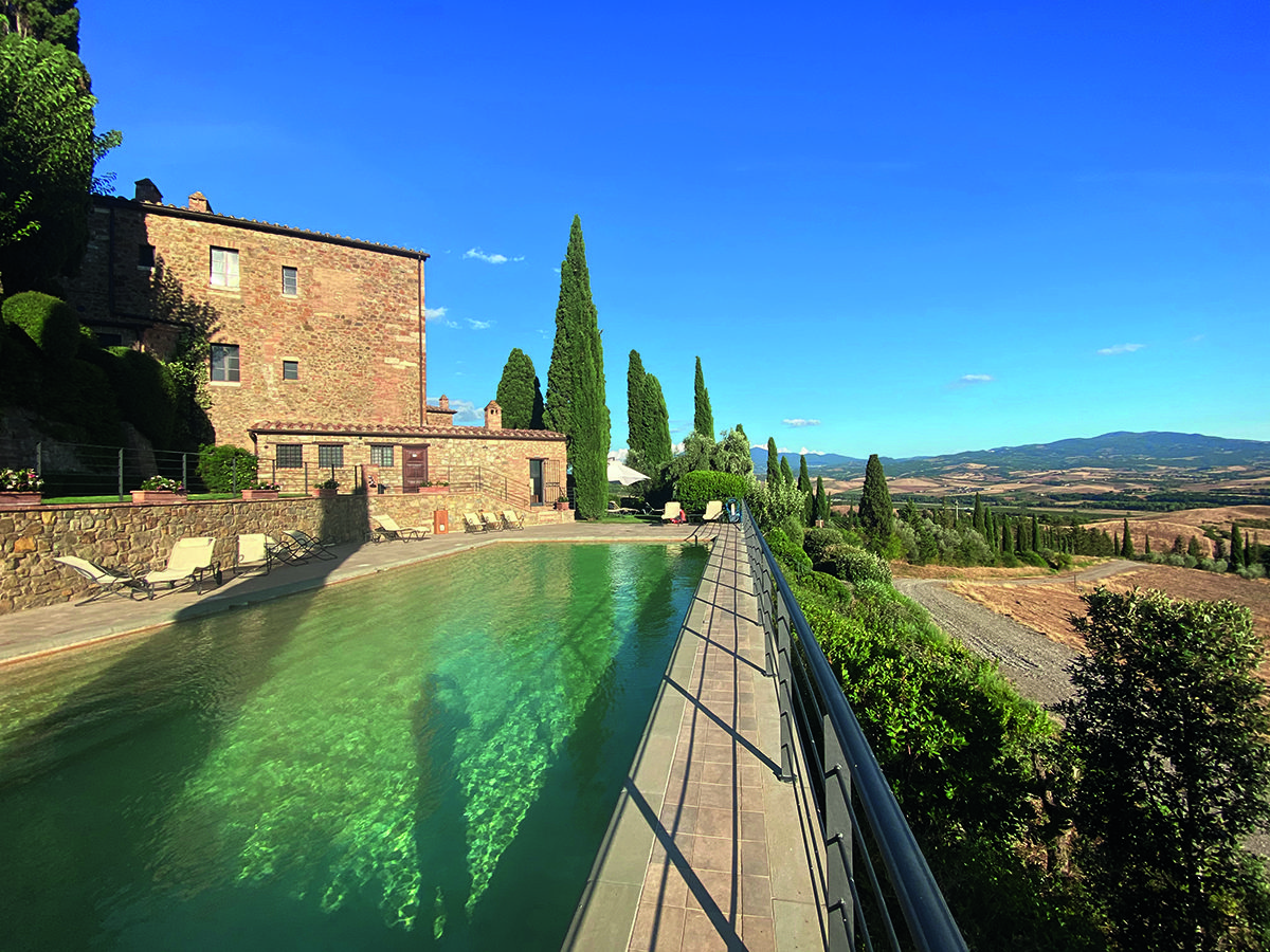 swimming pool and vineyards