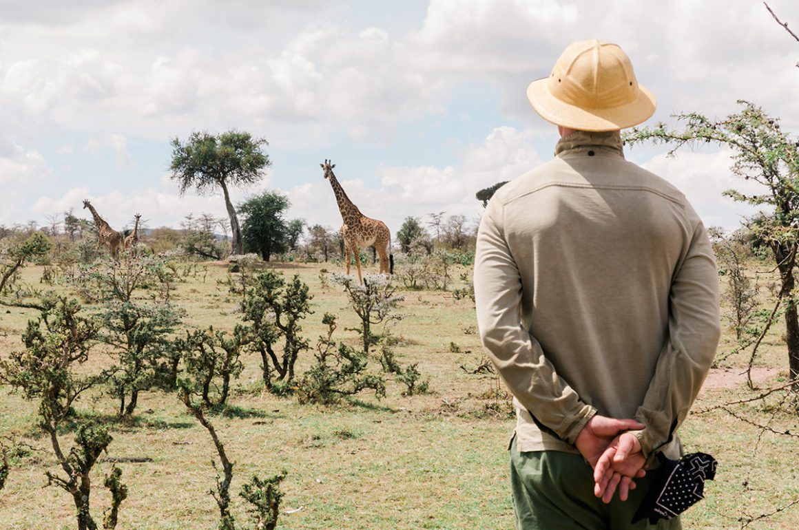 safari