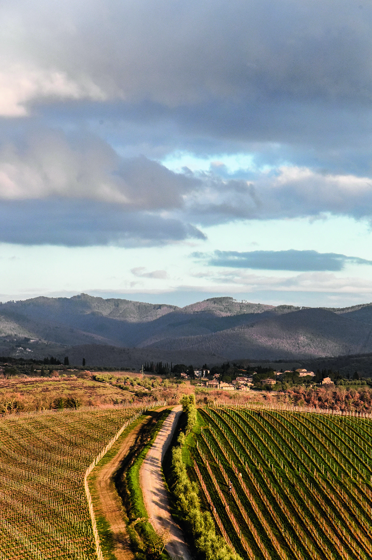 tuscan landscape