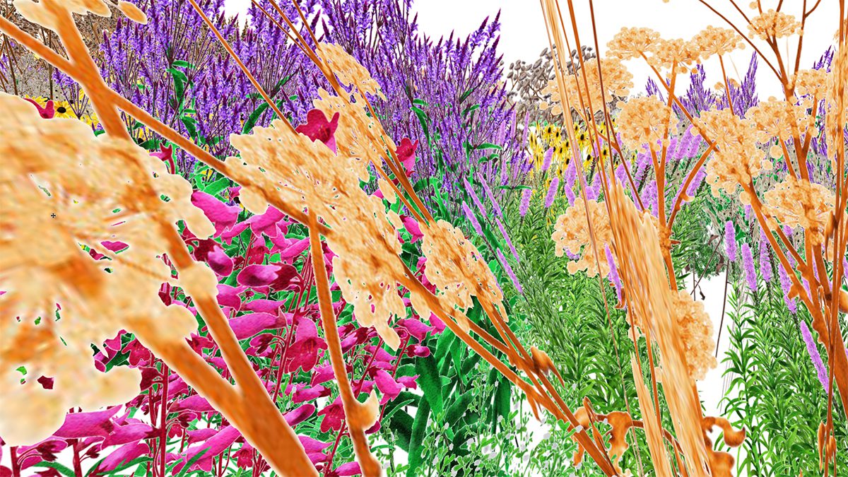 purple, white, green and pink flowers