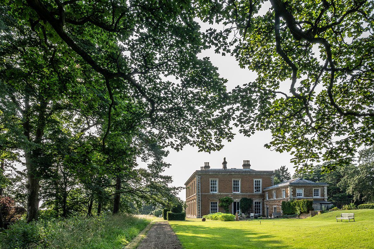 Tree and house