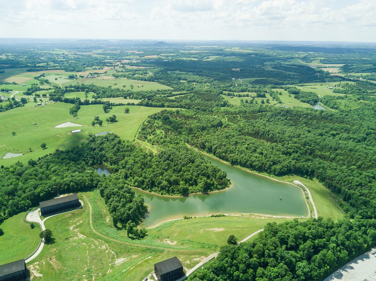 green fields from a bird's eye view