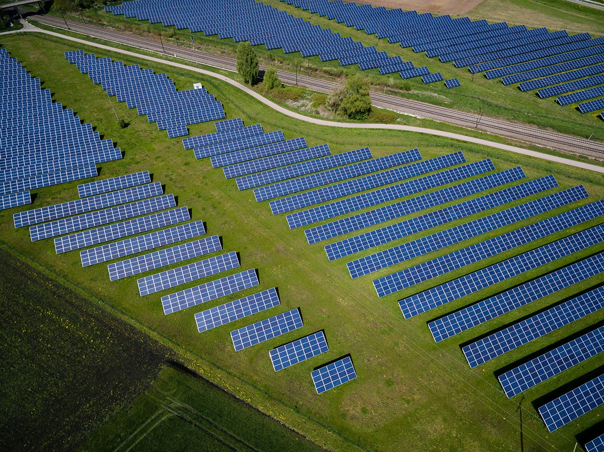 rows of solar panels