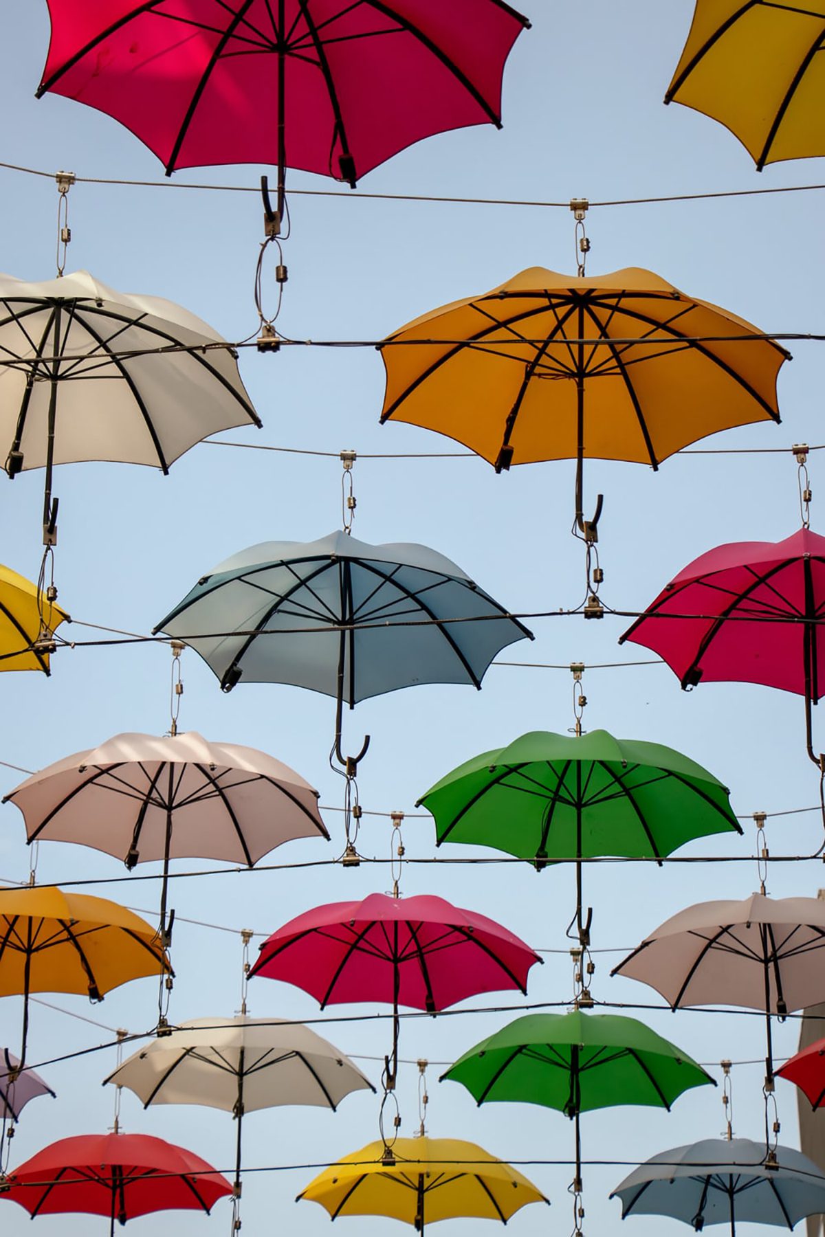 Umbrella art installation