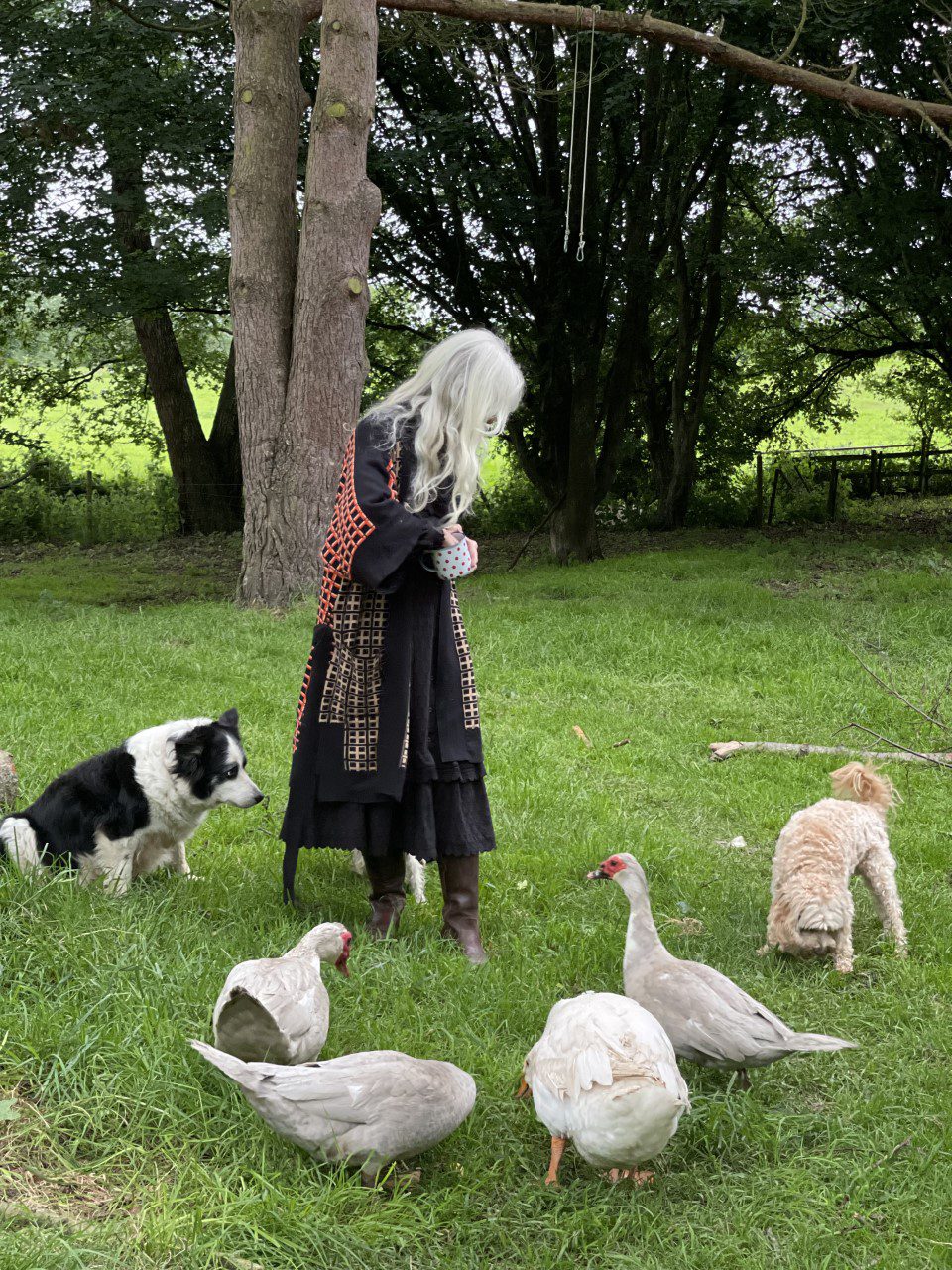 A woman standing on the grass surrounded by dogs and ducks