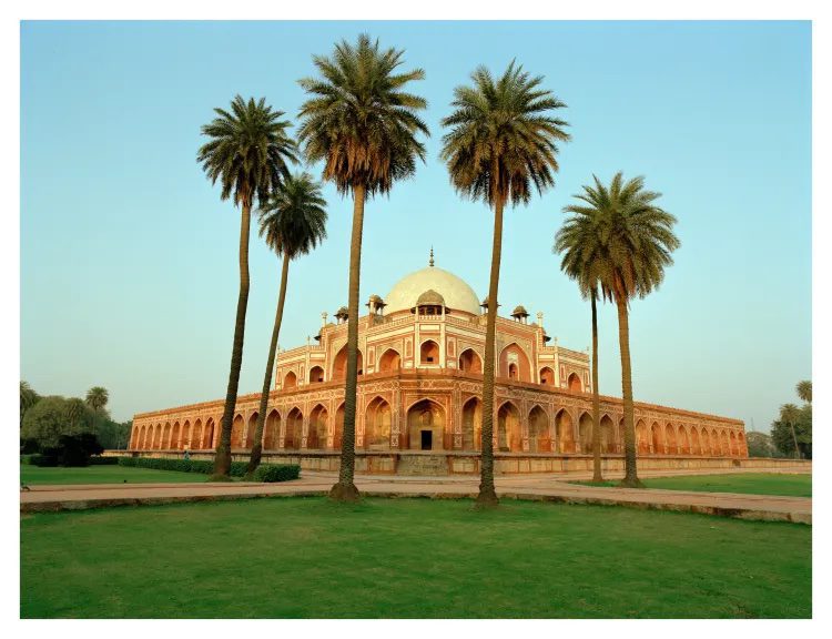 A palace with a palm trees and grass in front of it