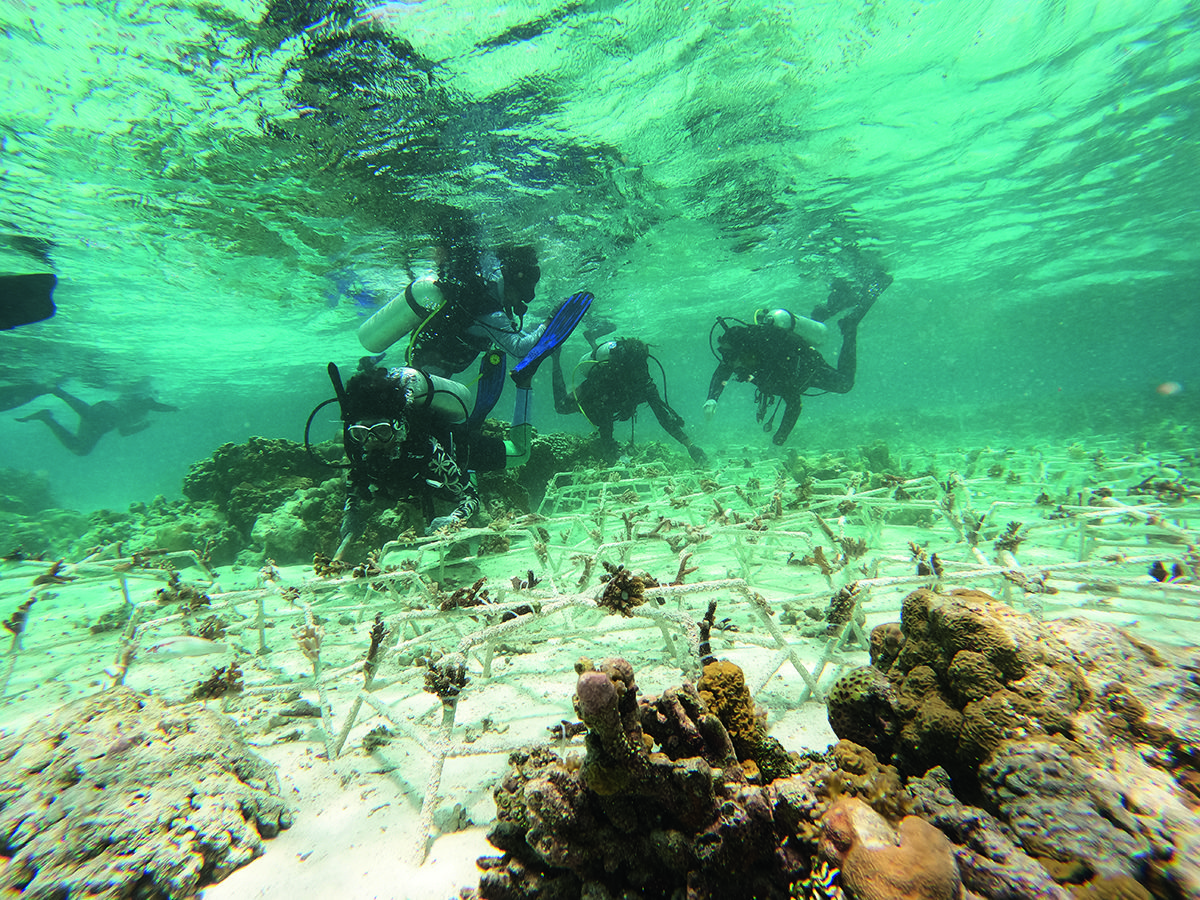 divers under the sea on the sand