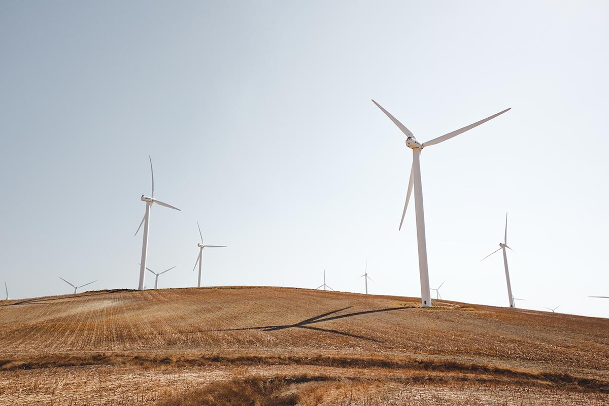 wind turbines in a wheat field