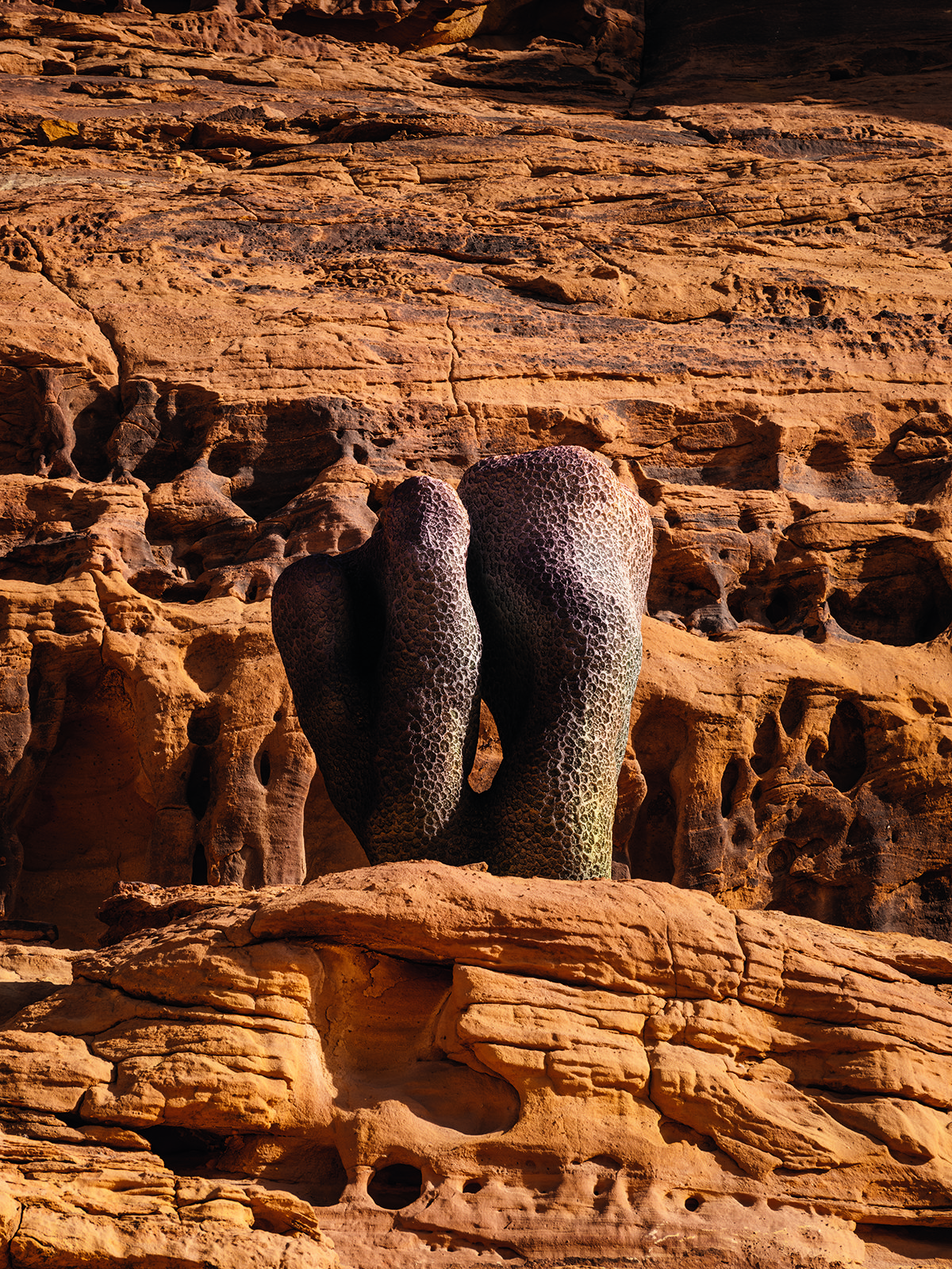 A bronze coral structure on a rock in the dessert