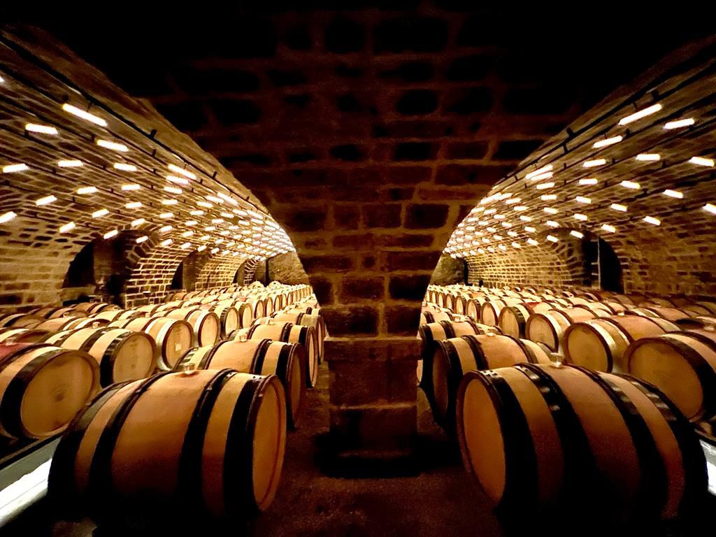 A cellar filled with barrels