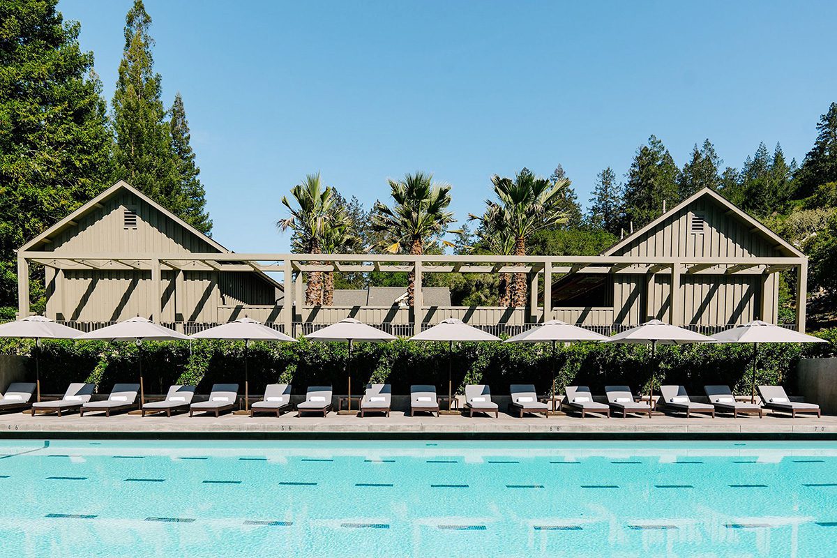 swimming pool surrounded by deckchairs and palm trees
