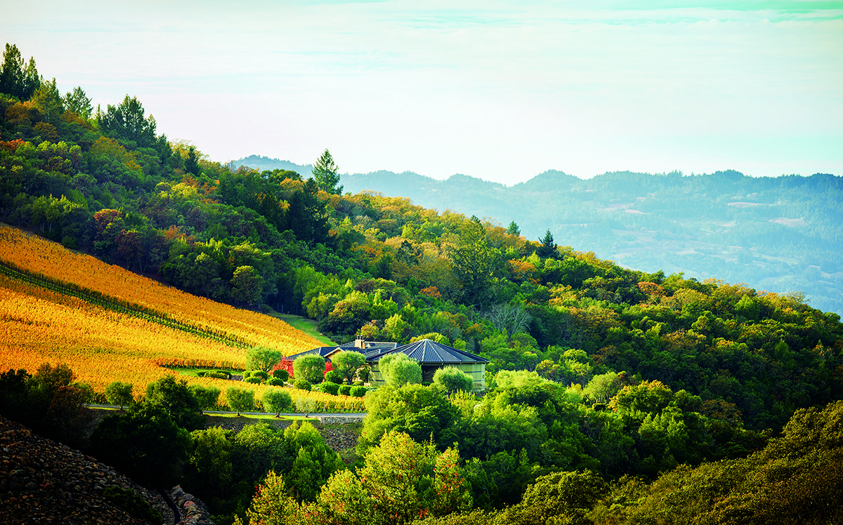 A view of hills and vineyards with the sun shining on it