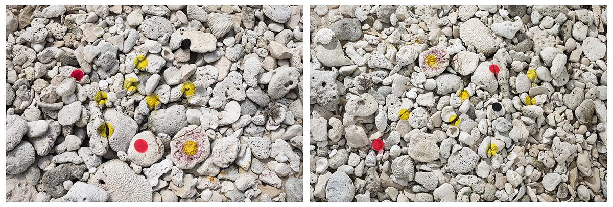 lots of stones and pebbles
