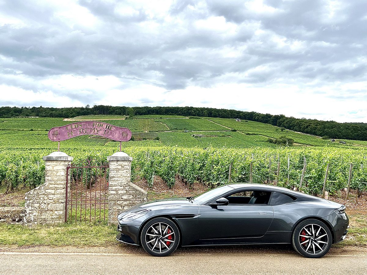 A grey sports car outside a vineyard