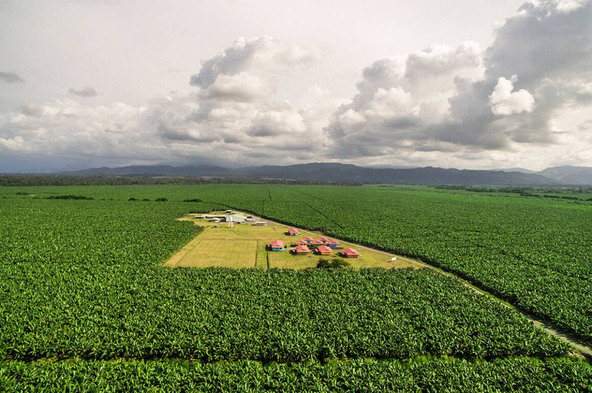 Huge green field with a cluster of small houses in the middle