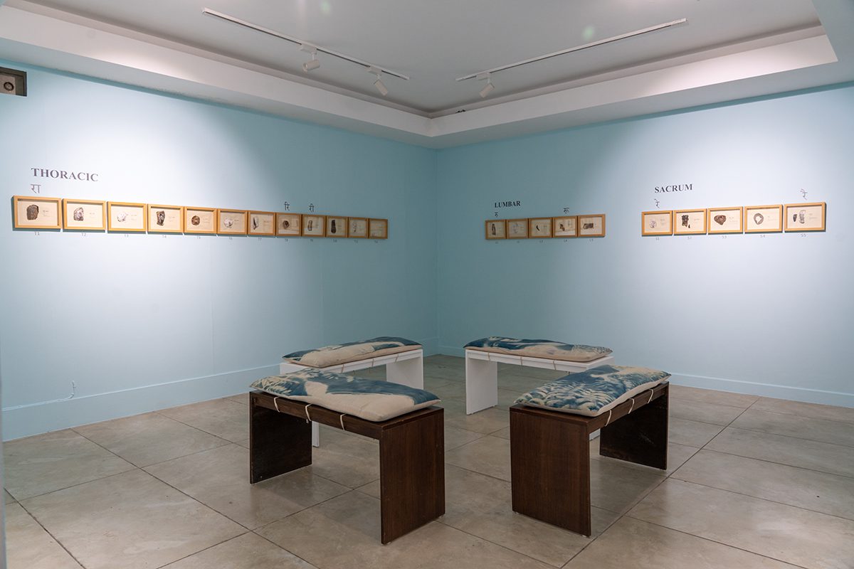 Wooden benches with cushions on them in a room with blue walls and small pictures on the walls