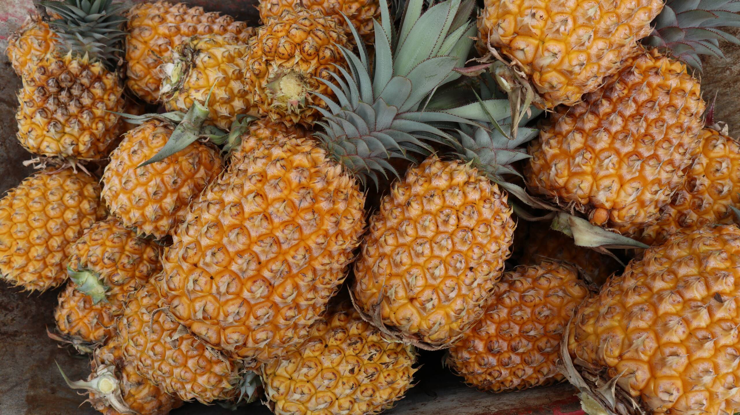 Jumble of pineapples