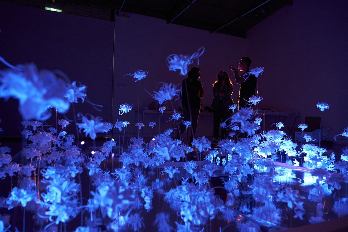 blue flower lights hanging in the dark