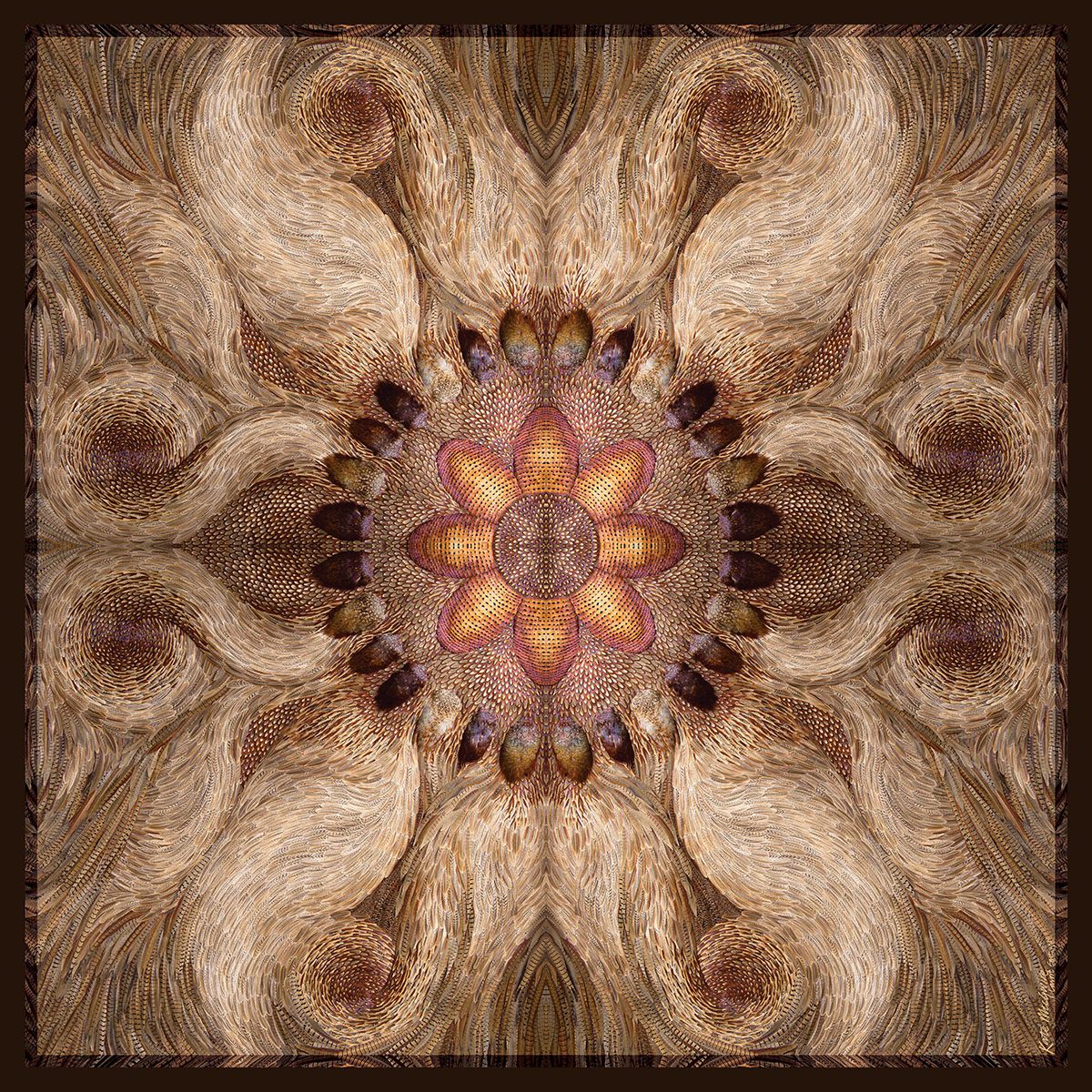 A brown and dark purple feather print scarf