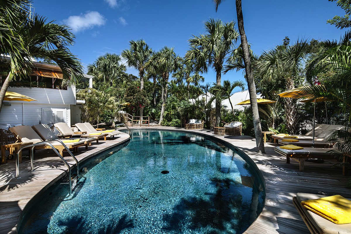 A curved swimming pool with trees around it