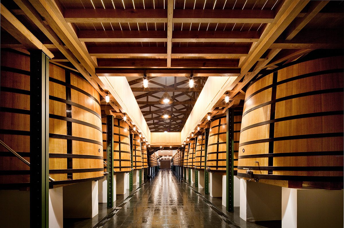 wine barrels with lights and under the tunnels 