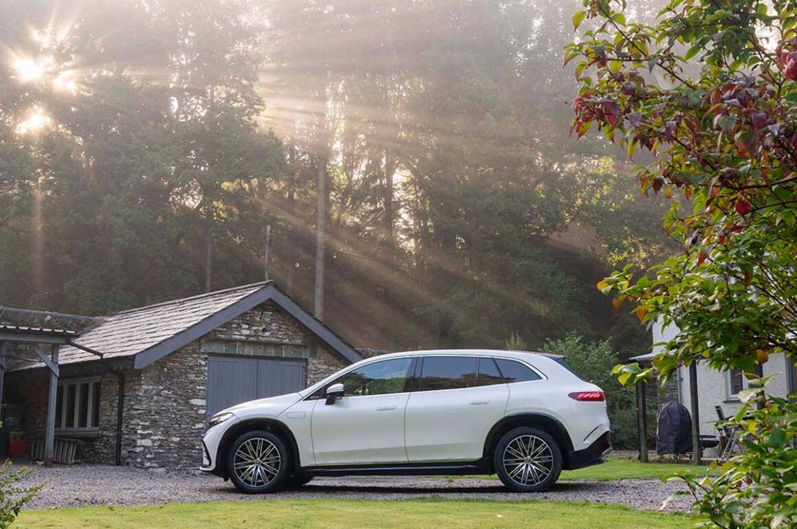 A white car by a shed in a forest