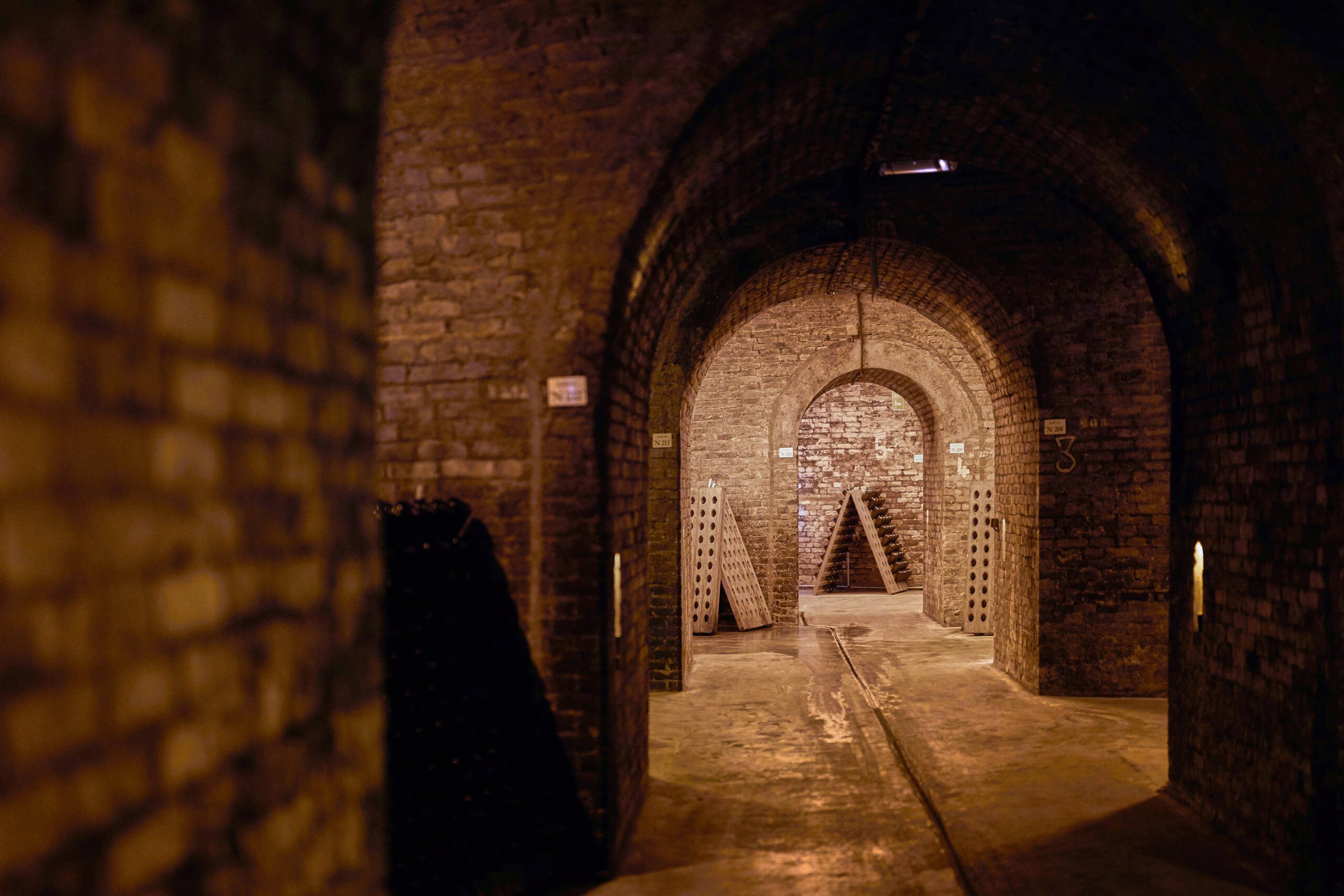 Dark wine cellar
