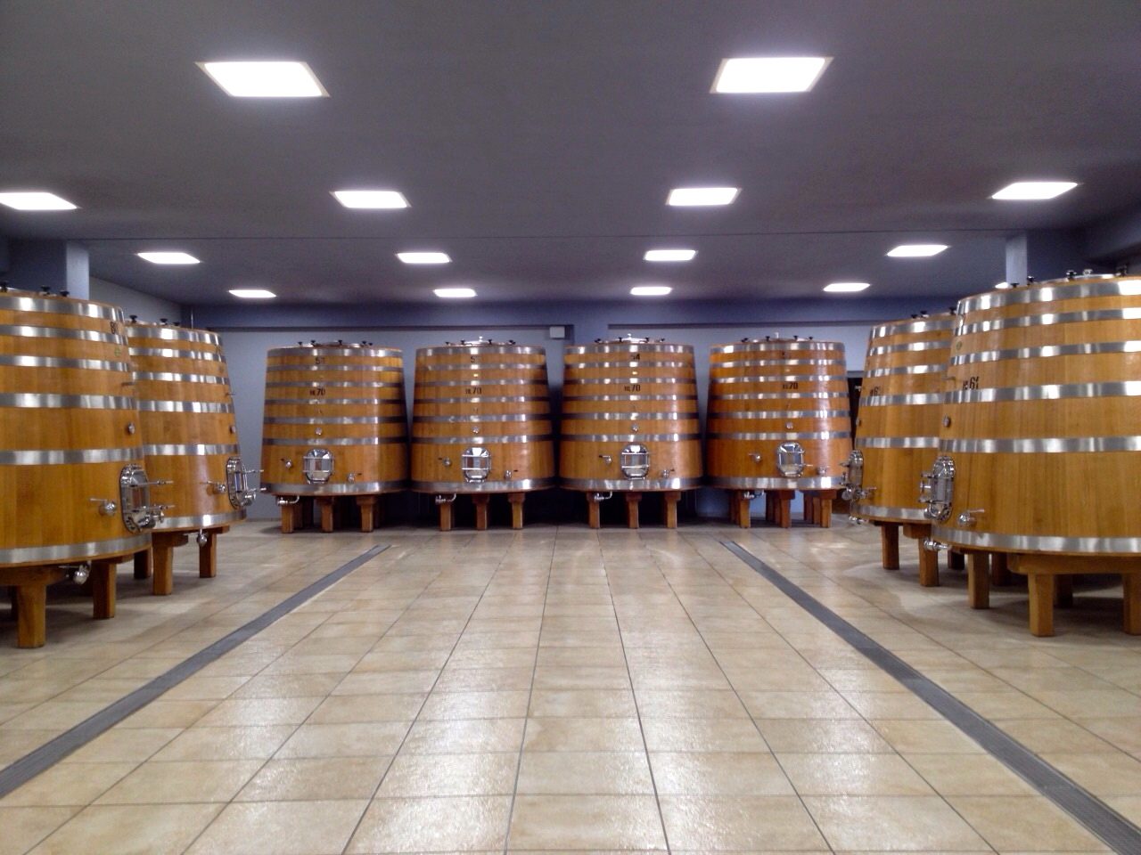 wines